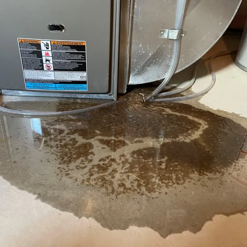 Appliance Leak Cleanup in Turner County, GA